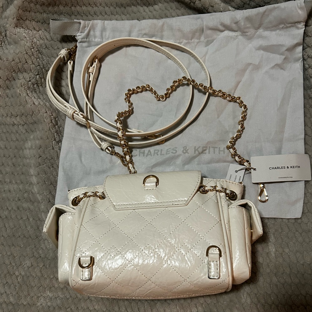 Charles & Keith Ivory Crossbody Bag - Picture 8 of 8